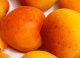 Abricots frais