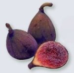 Fresh fig at maturity