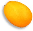 Kumquat frais at maturity