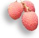 Fresh Litchi at maturity