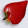 Strawberry at maturity