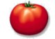 Tomato (mini)